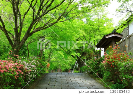 京都Mansyuin門紀念碑入口 139285483