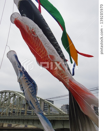 Carp streamers swimming in the river Carp streamers swimming in the river 139285970