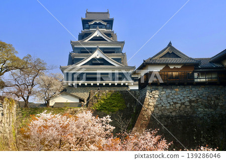 熊本城、櫻花和天守閣(熊本縣熊本市) 熊本城、櫻花和天守閣(熊本縣熊本市) 139286046