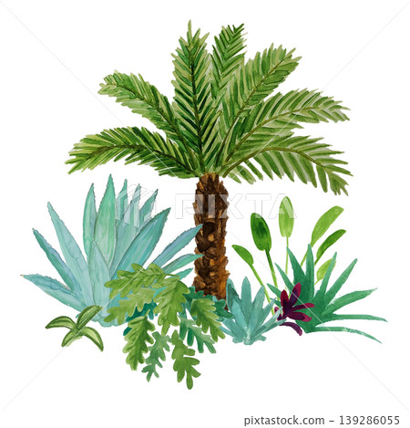 熱帶植物水彩畫 熱帶植物水彩畫 139286055