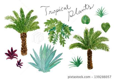 熱帶植物水彩畫 熱帶植物水彩畫 139286057