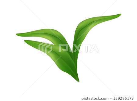 Minimalist green leaf vector with smooth gradient and soft curves. Fresh natural element isolated on light background, perfect for eco design, branding, spring themes, and botanical concepts 139286172