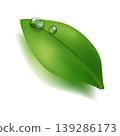 Fresh green leaf with realistic water drops and soft shadow. Clean natural vector isolated on light background, ideal for eco design, organic branding, freshness concepts and spring visuals 139286173