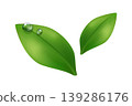 Realistic green leaves with water drops and smooth shading. Natural vector isolated on light background, perfect for eco design, organic branding, freshness concepts and botanical visuals 139286176