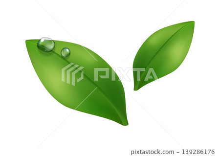 Realistic green leaves with water drops and smooth shading. Natural vector isolated on light background, perfect for eco design, organic branding, freshness concepts and botanical visuals Realistic green leaves with water drops and smooth shading. Natural vector isolated on light background, perfect for eco design, organic branding, freshness concepts and botanical visuals 139286176