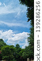 A sky with clouds and a forest of trees. 139286256