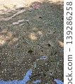 water 139286258