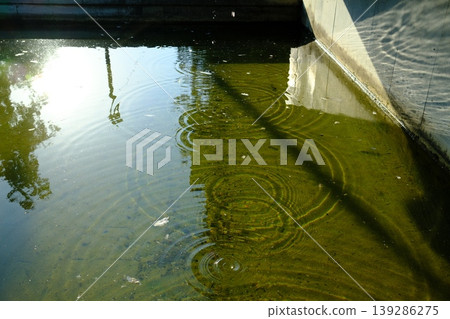 Sunlight reflects on water, forming ripples and shadows. A quiet afternoon Sunlight reflects on water, forming ripples and shadows. A quiet afternoon 139286275