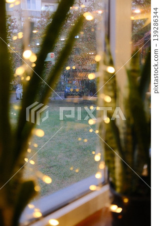 Plants and glowing lights frame the view outside of a window to the yard Plants and glowing lights frame the view outside of a window to the yard 139286344
