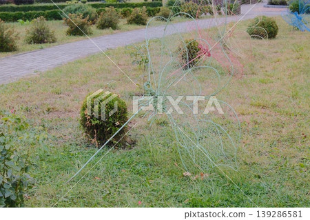 Metal butterfly sculptures in a garden setting during the day, surrounded by greenery Metal butterfly sculptures in a garden setting during the day, surrounded by greenery 139286581