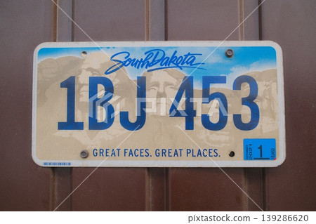 Brown surface: SD plate 1BJ453 139286620
