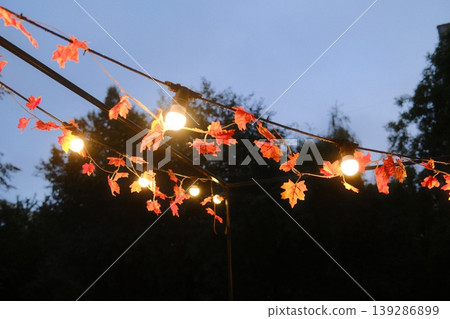 Glowing string lights are adorned with artificial Maple leaves at twilight Glowing string lights are adorned with artificial Maple leaves at twilight 139286899