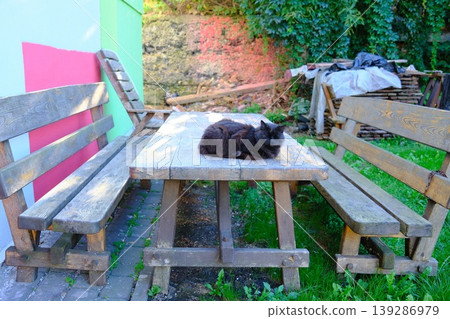 A black cat lies calmly on a wooden picnic table with attached benches outdoors in the yard A black cat lies calmly on a wooden picnic table with attached benches outdoors in the yard 139286979