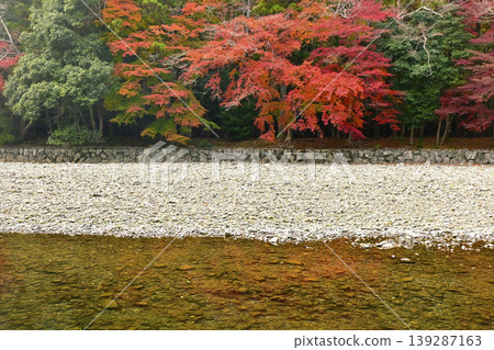 The scenery of the Isuzu River purification area and autumn leaves; the autumn foliage scenery of the Inner Shrine of Ise Grand Shrine; autumn sightseeing spots in Ise-Shima. The scenery of the Isuzu River purification area and autumn leaves; the autumn foliage scenery of the Inner Shrine of Ise Grand Shrine; autumn sightseeing spots in Ise-Shima. 139287163