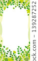 Natural, vertical background material featuring fresh greenery / green border 139287252