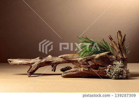 Abstract north nature scene with a composition of lichen, pine branches, and dry snags. Abstract north nature scene with a composition of lichen, pine branches, and dry snags. 139287309
