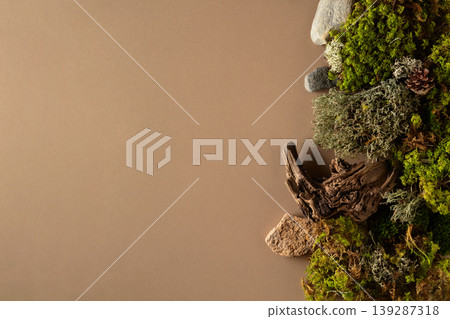 Abstract north nature scene with a composition of lichen, moss, and old snags on a beige background. Abstract north nature scene with a composition of lichen, moss, and old snags on a beige background. 139287318