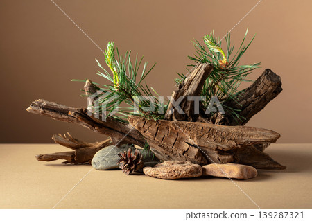 Abstract nature scene with a composition of pine branches, stones, and dry snags. Abstract nature scene with a composition of pine branches, stones, and dry snags. 139287321