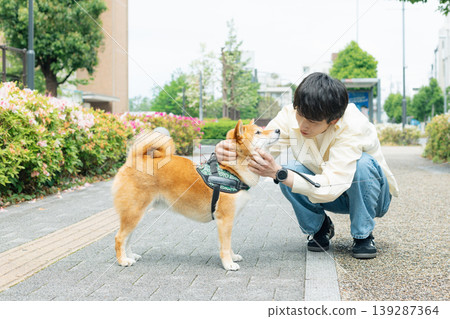 Lifestyle, Pets, A man walking his Shiba Inu 139287364