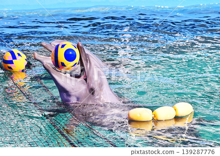 Dolphins playing with a ball; dolphins surfacing; image materials. Dolphins playing with a ball; dolphins surfacing; image materials. 139287776