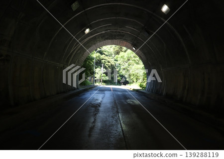 隧道外,翠綠的樹葉沐浴在陽光下。 隧道外,翠綠的樹葉沐浴在陽光下。 139288119