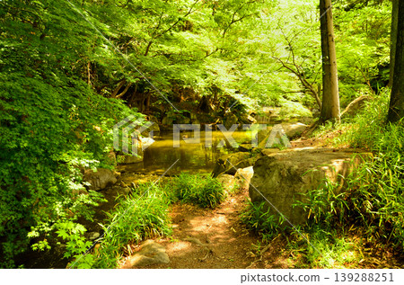 A landscape of green trees and a stream 139288251