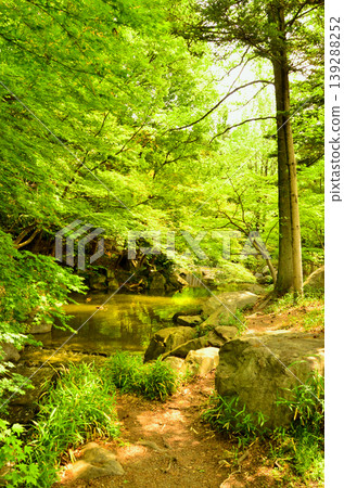 A landscape of green trees and a stream A landscape of green trees and a stream 139288252