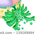 Ultrastructure of the Endoplasmic Reticulum (ER) | Membrane Network and Ribosome Arrangement (Illustration) 139289884