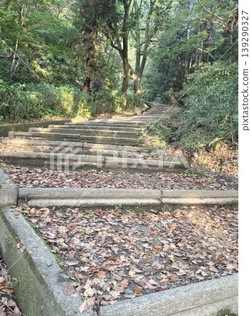 Stairs leading to the forest in early summer Stairs leading to the forest in early summer 139290327