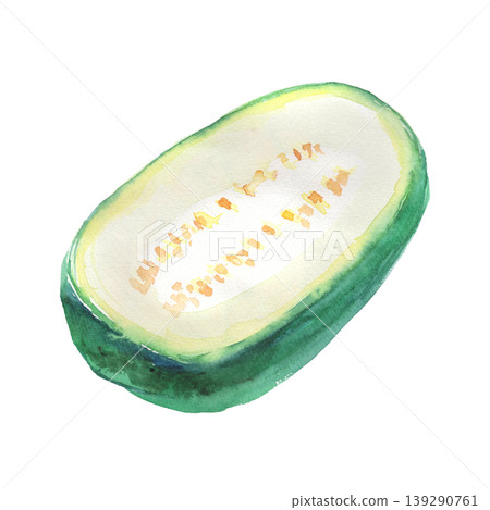 冬瓜水彩插圖 139290761