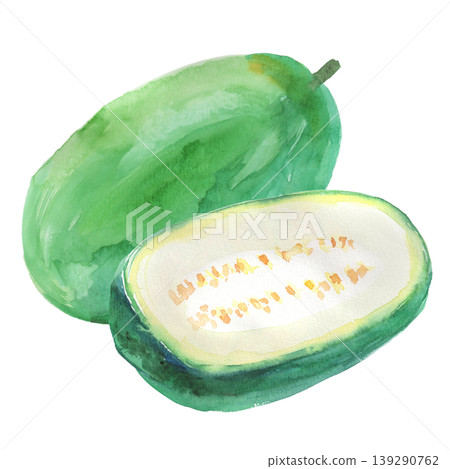 冬瓜水彩插圖 3 139290762