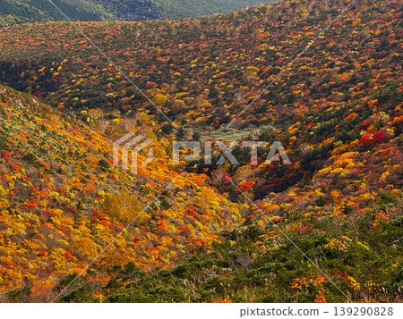 安達多羅山的紅葉③ 安達多羅山的紅葉③ 139290828