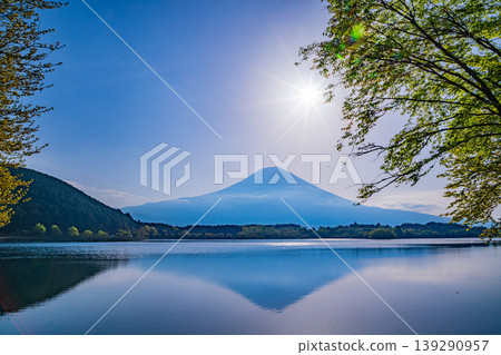 (Shizuoka Prefecture) Lake Tanuki - Mount Fuji viewed from the lush green lakeside (Shizuoka Prefecture) Lake Tanuki - Mount Fuji viewed from the lush green lakeside 139290957