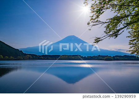 (Shizuoka Prefecture) Lake Tanuki - Mount Fuji viewed from the lush green lakeside (Shizuoka Prefecture) Lake Tanuki - Mount Fuji viewed from the lush green lakeside 139290959