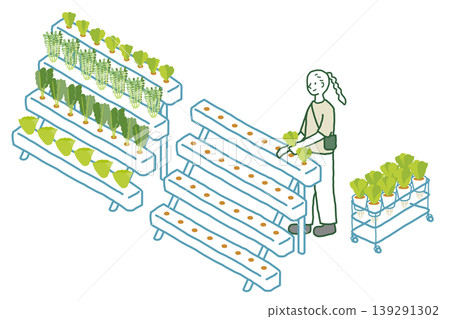 Conceptual illustration of a vegetable factory Conceptual illustration of a vegetable factory 139291302