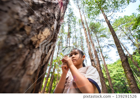 Curious young Asian girl using a magnifying glass to explore tree bark in a pine forest, nature education and outdoor science learning concept. Curious young Asian girl using a magnifying glass to explore tree bark in a pine forest, nature education and outdoor science learning concept. 139291526