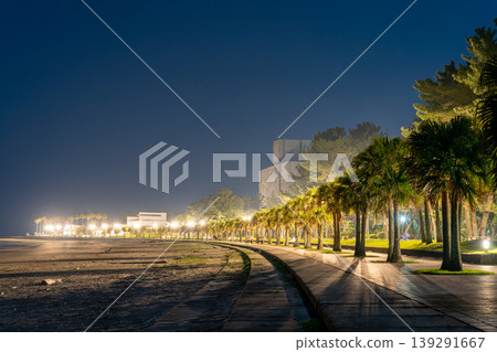 Night view of Aoshima Beach 139291667
