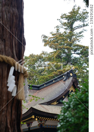香取神社的神樹與主神社 139291682