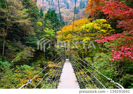 Suspension bridge leading to Hara Fudo Falls Suspension bridge leading to Hara Fudo Falls 139291691