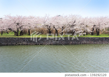 函館五棱郭公園 函館五棱郭公園 139292120