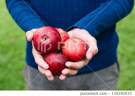 Hands holding fresh red apples outdoors Hands holding fresh red apples outdoors 139292633