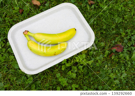 Two yellow bananas on a tray placed on green grass. Two yellow bananas on a tray placed on green grass. 139292660
