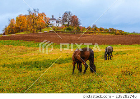 Horses grazing in an autumn landscape near a historic building in a rural setting Horses grazing in an autumn landscape near a historic building in a rural setting 139292746
