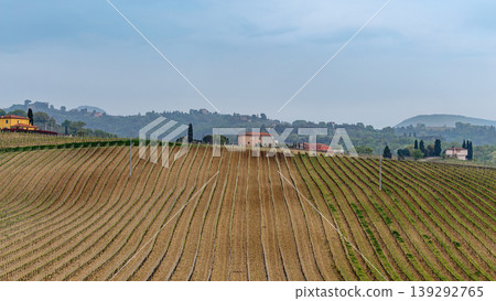 Rolling vineyards in a Tuscan landscape under an overcast sky Rolling vineyards in a Tuscan landscape under an overcast sky 139292765