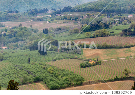 Beautiful landscape view of rolling hills and vineyards in Tuscany 139292769