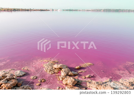 The red-colored salt lagoon of the Spanish city of Torrevieja The red-colored salt lagoon of the Spanish city of Torrevieja 139292803