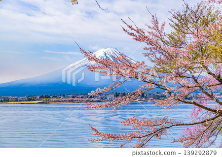 (山梨縣)河口湖、櫻花和富士山 (山梨縣)河口湖、櫻花和富士山 139292879
