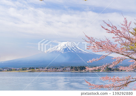 (Yamanashi Prefecture) Lake Kawaguchi, cherry blossoms and Mt. Fuji 139292880