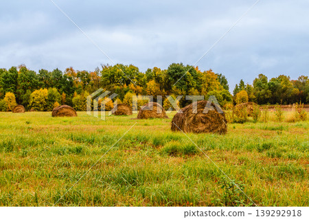 Fields of hay bales under overcast skies in autumn landscape with vibrant foliage 139292918