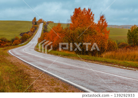 Scenic autumn road winding through colorful trees 139292933